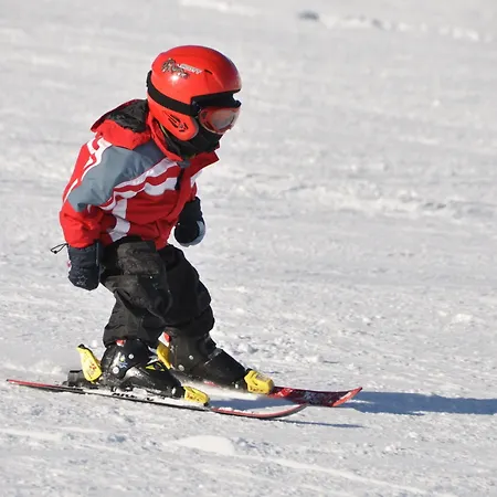 Seehof-arosa Отель 3*