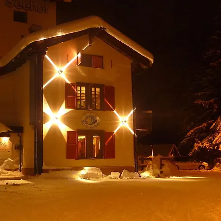 Hotel Seehof-arosa 3*