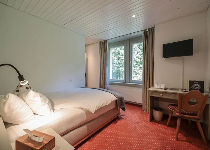 Seehof-arosa Hotel 3*