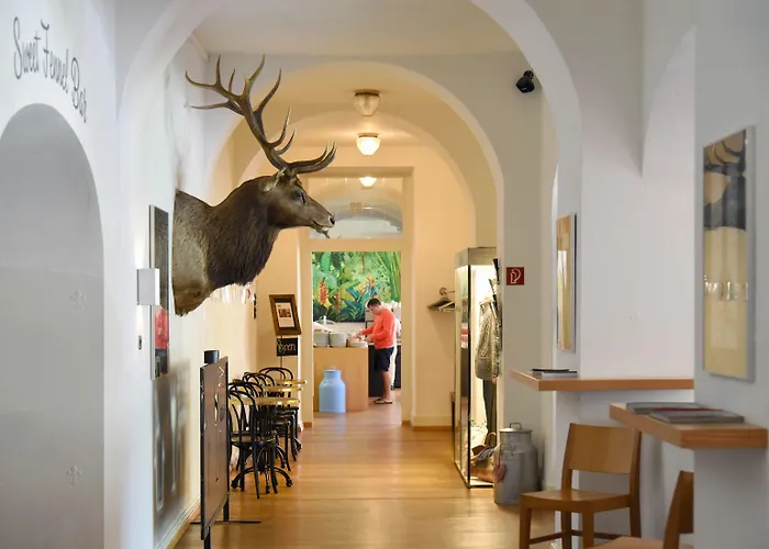 Seehof-arosa Hotel 3*